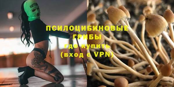 2c-b Новодвинск