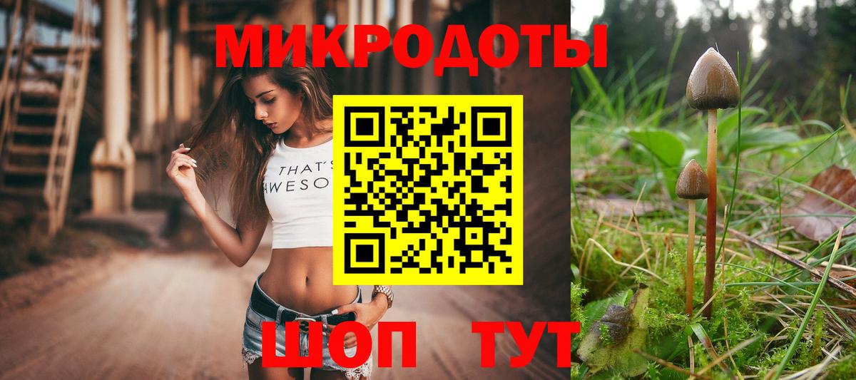 Псилоцибиновые грибы Magic Shrooms Кольчугино