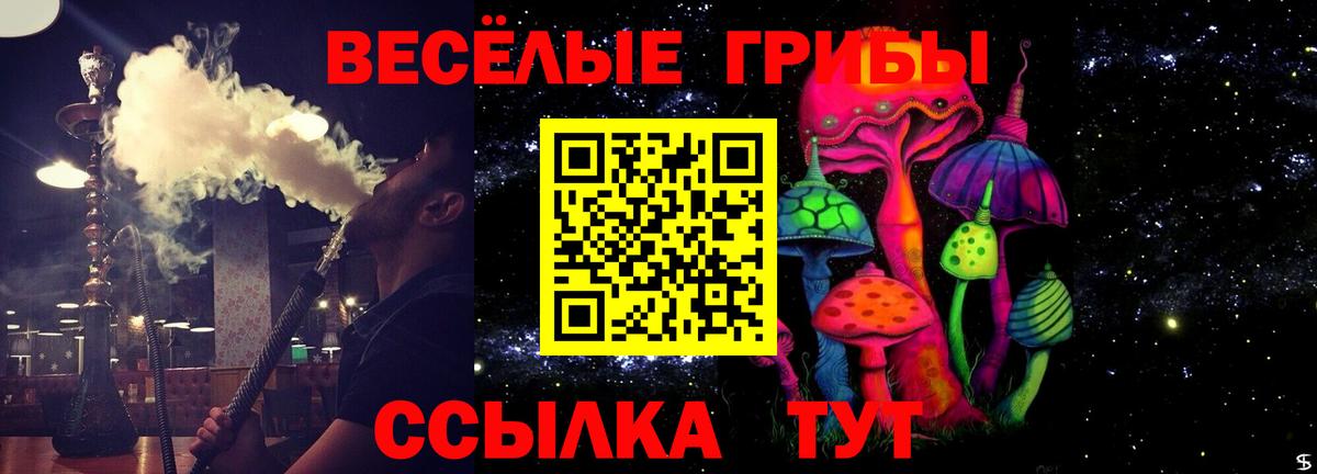 Кольчугино  Псилоцибиновые грибы Cubensis  Вход с VPN  Псилоцибиновые грибы мицелий 